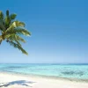 Sommerdeko | Sommer-Banner^DecoWoerner XXL-Planenbanner "Tropischer Palmenstrand" Aus Schwer Entflammbarer LKW-Plane 250 X 330 Cm blau