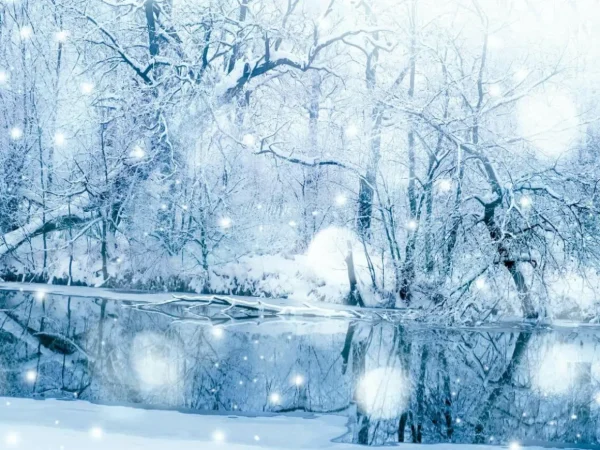 Weihnachts- & Winterbanner | Xxl-Banner^DecoWoerner XXL-Planenbanner "Wintersee" Aus Schwer Entflammbarer LKW-Plane 250 X 330 Cm weiß